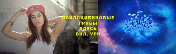 амф Абинск