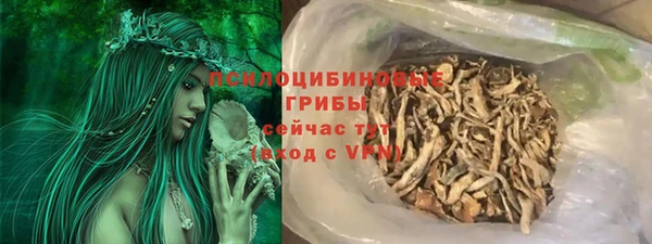 амф Абинск